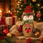 🎅Christmas Gift Bags Zipper Design