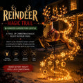 🎄 ✨Christmas Magic Solar Garden Stake Light
