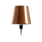 Bottle Lamp