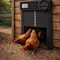 Smart Automatic Chicken Coop Door