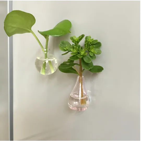 8-Pcs Mini Vase Fridge Magnets