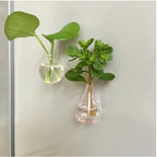 8-Pcs Mini Vase Fridge Magnets